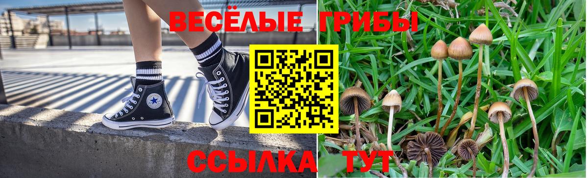 Шелехов  Галлюциногенные грибы ЛСД  Вход с VPN 