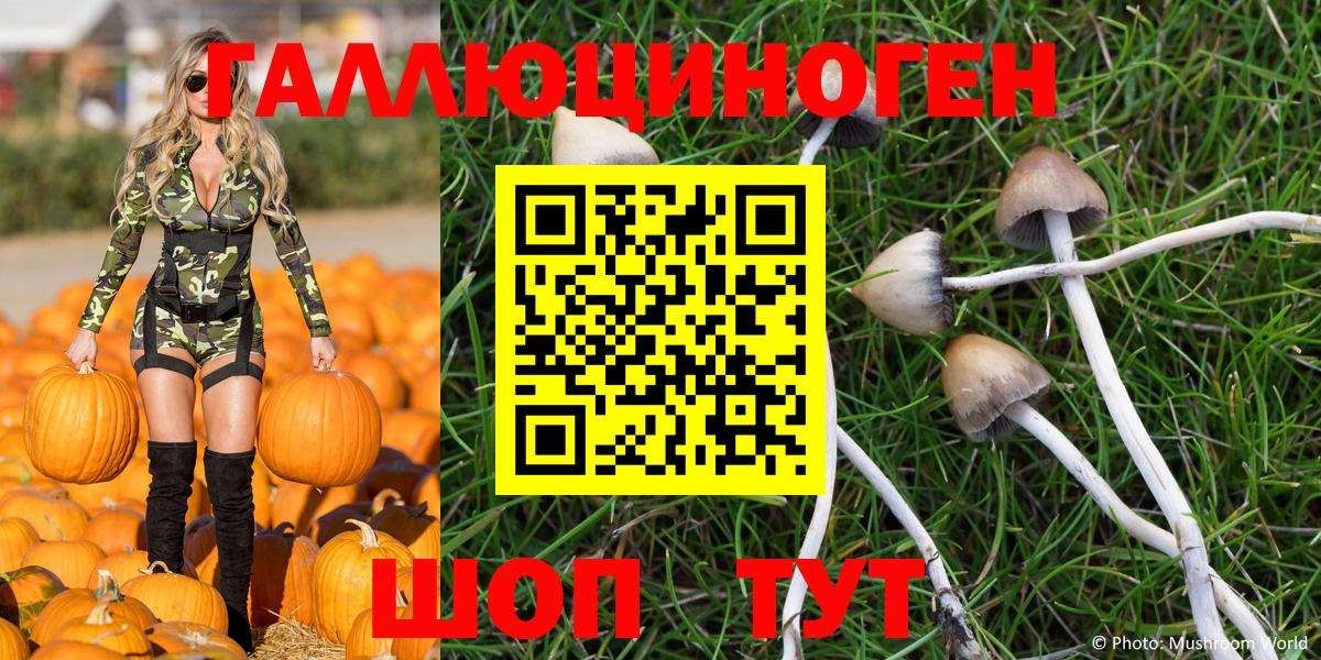 Псилоцибиновые грибы Psilocybine cubensis Шелехов